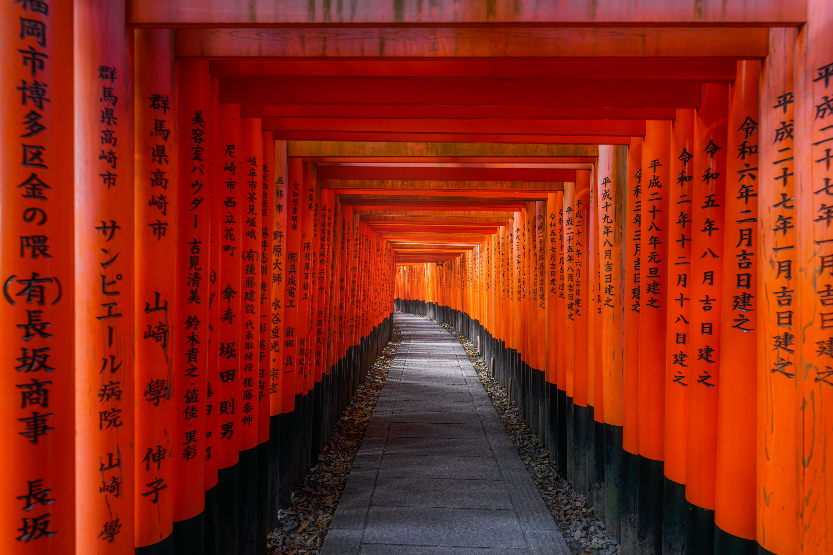 Бесплатная консультация по выбору тура